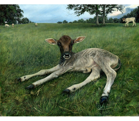 Rebecca Luncan - "Reclining Calf"